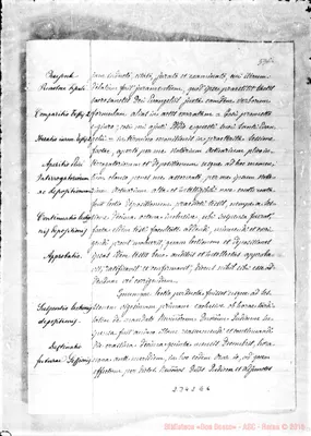 Fotogramma E 6