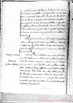 Fotogramma D 11
