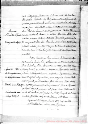 Fotogramma C 11