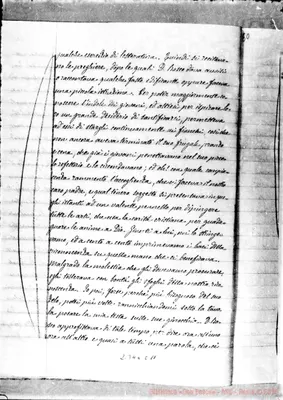 Fotogramma C 11