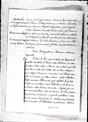 Fotogramma D 11