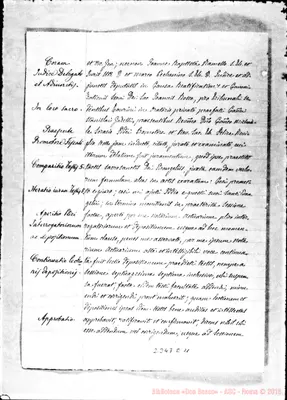 Fotogramma E 11