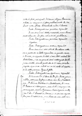 Fotogramma D 11
