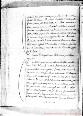 Fotogramma D 11