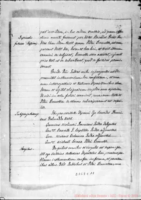 Fotogramma C 12