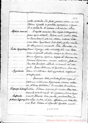 Fotogramma D 10
