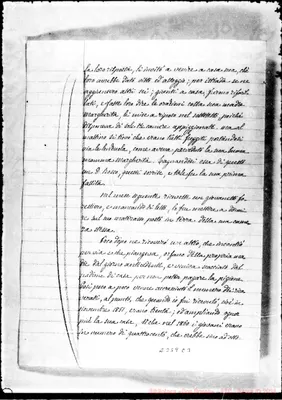 Fotogramma C 3