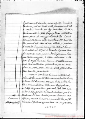 Fotogramma C 11