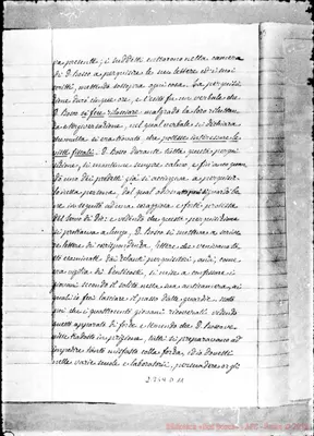 Fotogramma D 11