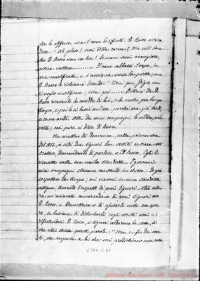 Fotogramma C 11