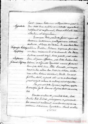 Fotogramma D 5