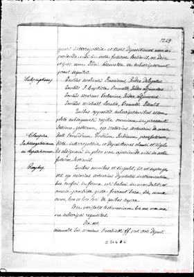 Fotogramma D 6