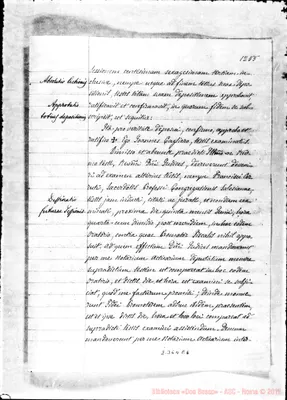 Fotogramma E 6