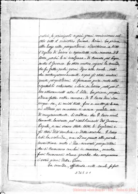 Fotogramma D 1