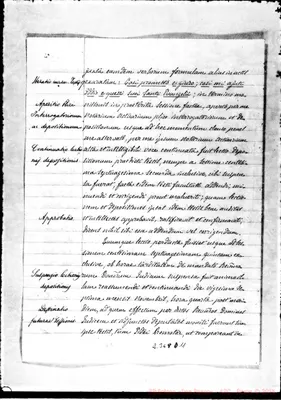 Fotogramma D 11