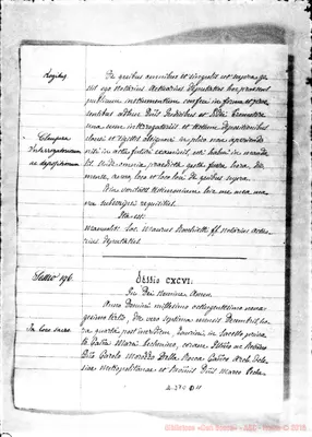 Fotogramma D 11
