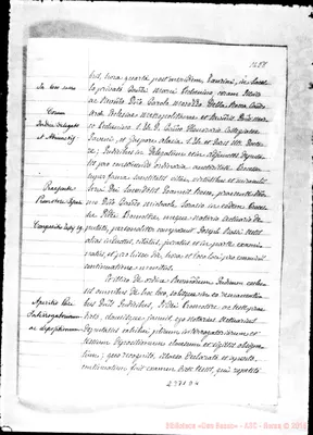Fotogramma D 4
