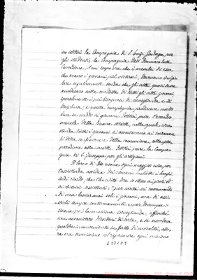 Fotogramma D 9