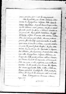 Fotogramma D 11