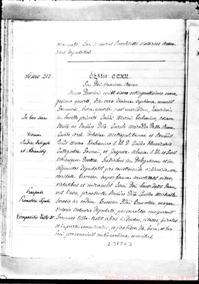 Fotogramma C 3