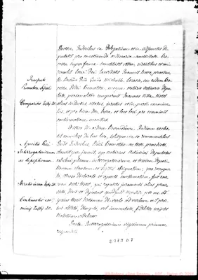 Fotogramma D 7