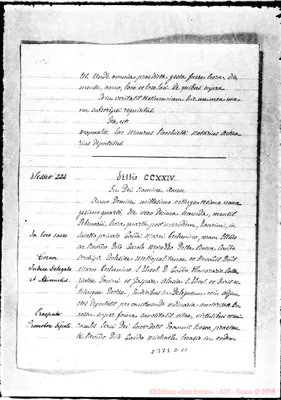 Fotogramma D 11
