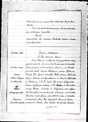 Fotogramma D 9