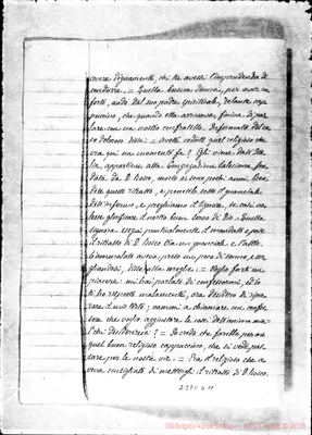 Fotogramma D 11