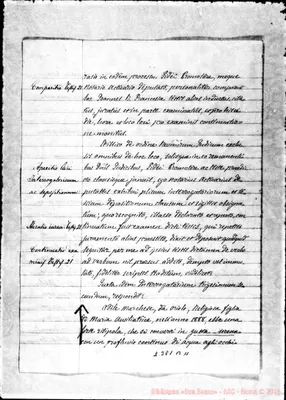 Fotogramma B 11