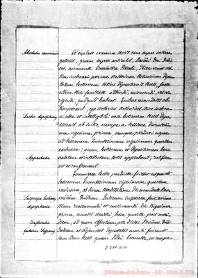Fotogramma D 11