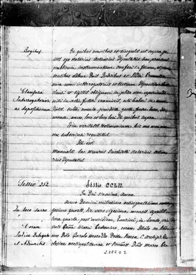 Fotogramma D 3