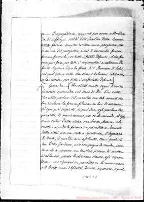 Fotogramma D 1
