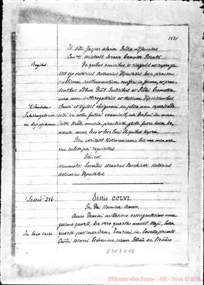 Fotogramma D 12