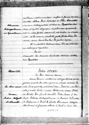 Fotogramma C 5