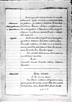 Fotogramma D 11