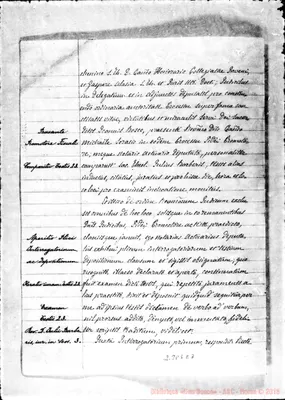 Fotogramma E 7