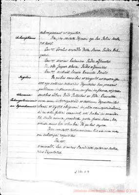 Fotogramma D 9