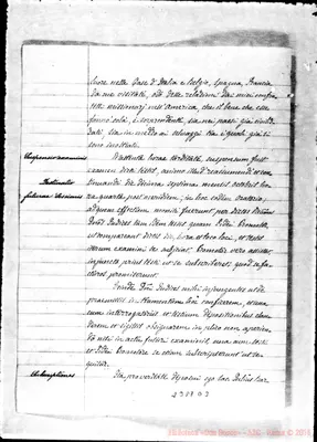 Fotogramma D 3