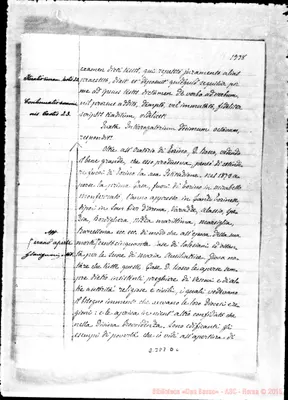 Fotogramma D 6