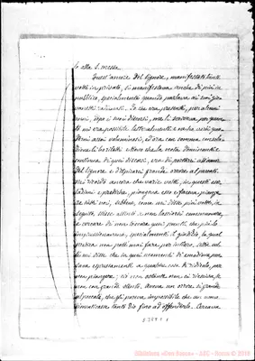 Fotogramma C 1