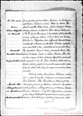 Fotogramma C 11