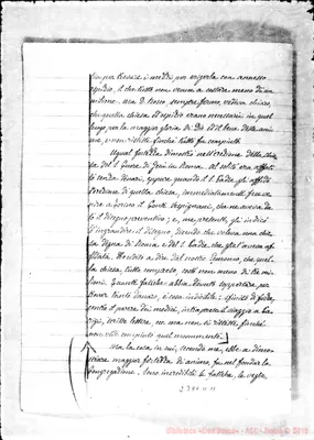 Fotogramma D 11