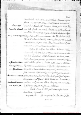 Fotogramma E 8
