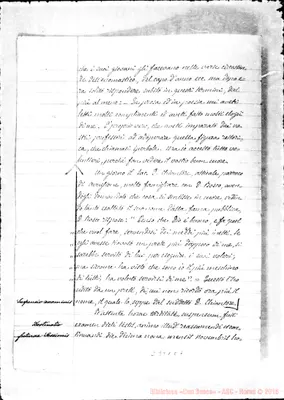 Fotogramma C 7