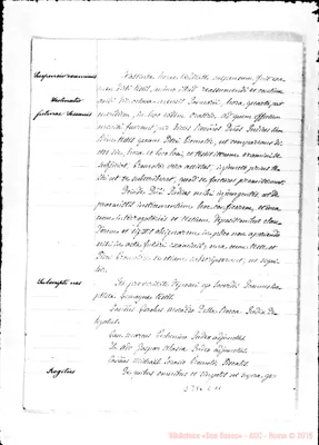 Fotogramma C 11
