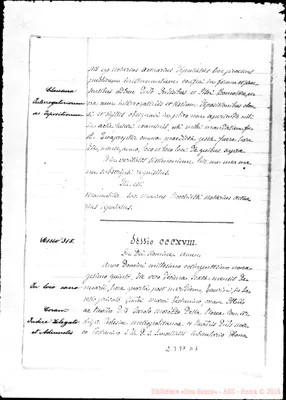 Fotogramma D 7
