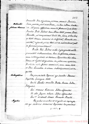 Fotogramma C 8