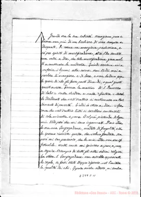 Fotogramma D 11