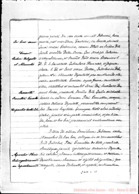 Fotogramma C 11