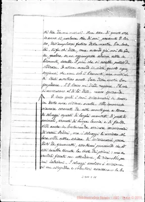 Fotogramma D 11